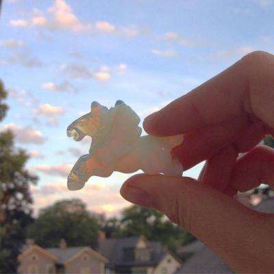 kaiyun体育官方下载